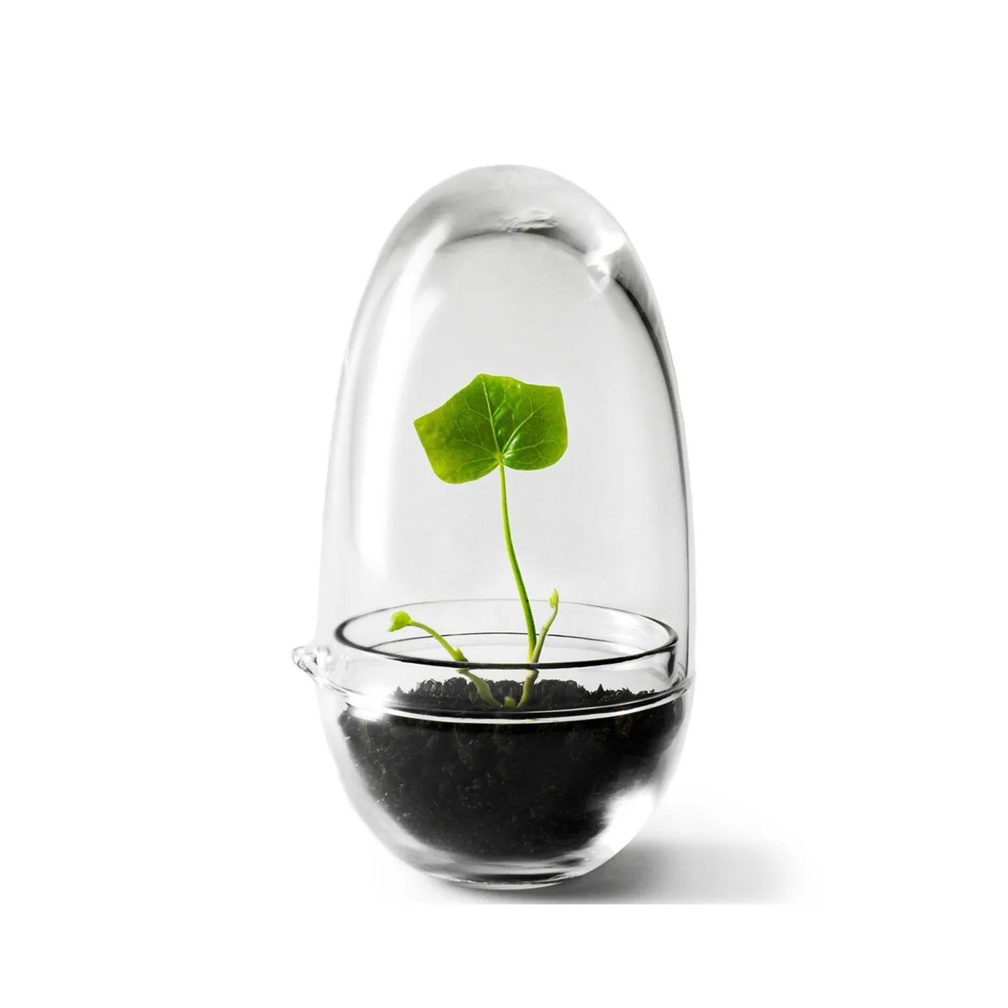 DSEIGN HOUSE stockholm Grow GREENHOUSE