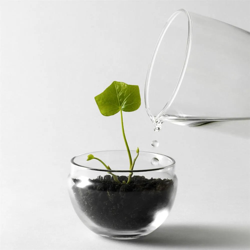 DSEIGN HOUSE stockholm Grow GREENHOUSE