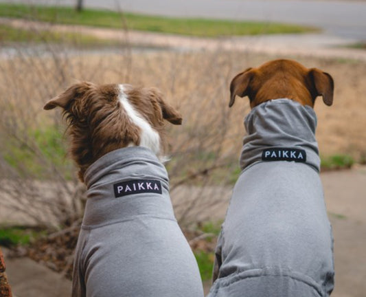 PAIKKA シンプルしっかり生地 大事な愛犬の手足まで守るリカバリーオーバーオール30cm