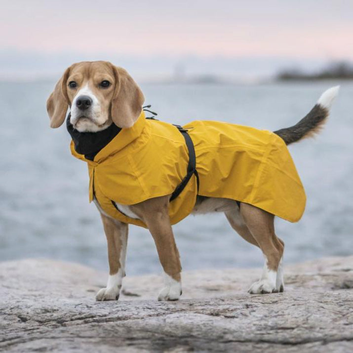 PAIKKA 黄色の雨具　防寒着としてもオシャレなヴィジリティレインコート 犬用 イエロー