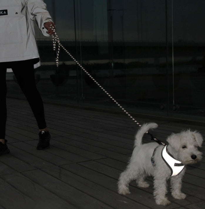 PAIKKA 暗い場所で安心明るく輝くヴィジリティハーネス S