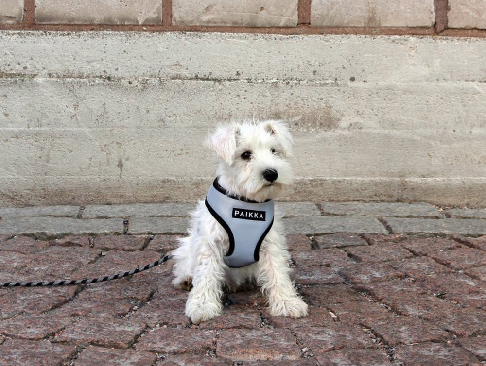 PAIKKA 暗い場所で安心明るく輝くヴィジリティハーネス S