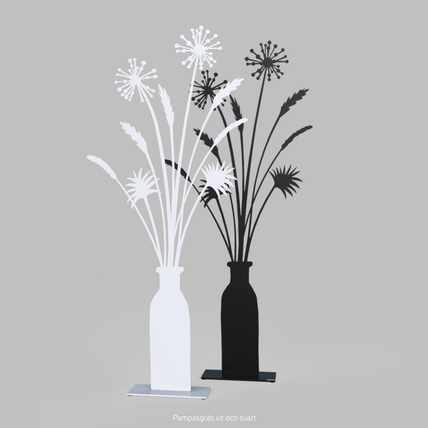 LONNEBERG Pampas grass 60cm