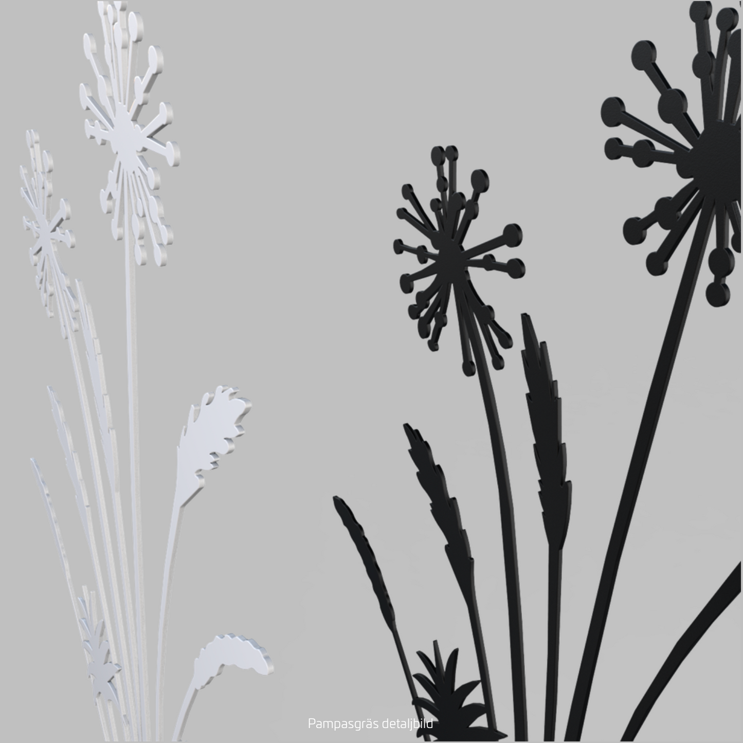 LONNEBERG Pampas grass 60cm