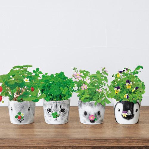 HANA ANIMALS ウサギ/ワイルドストロベリー [GD858-01] – Lycka