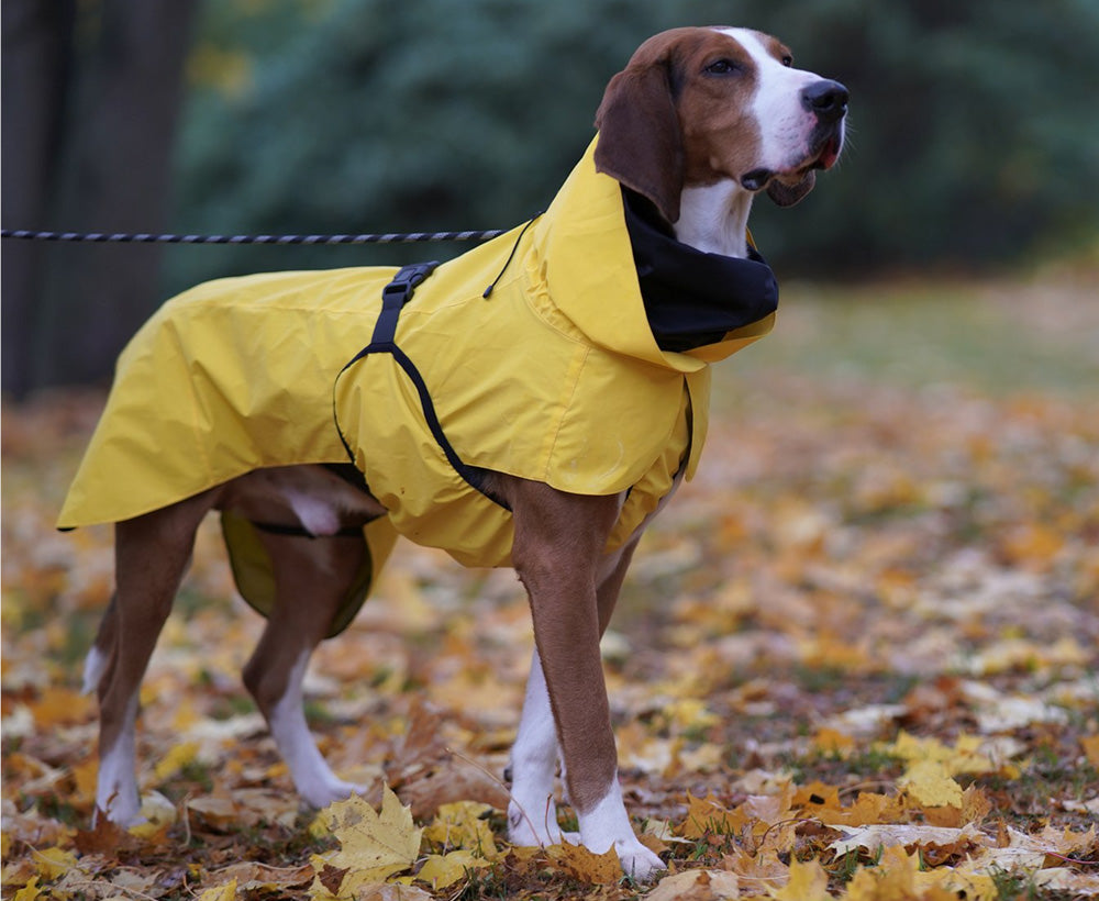 PAIKKA 黄色の雨具　防寒着としてもオシャレなヴィジリティレインコート 犬用 イエロー